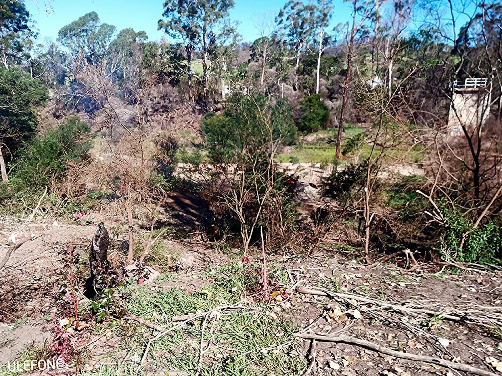 Project gallery image