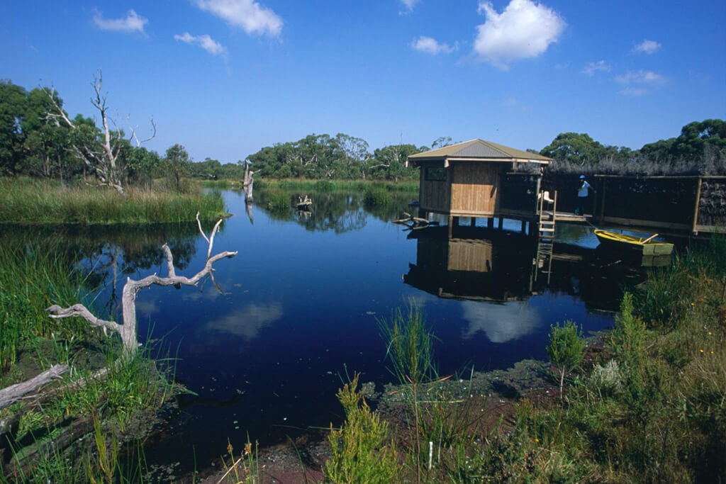 This bird hide on the main wetland is used for guided walks