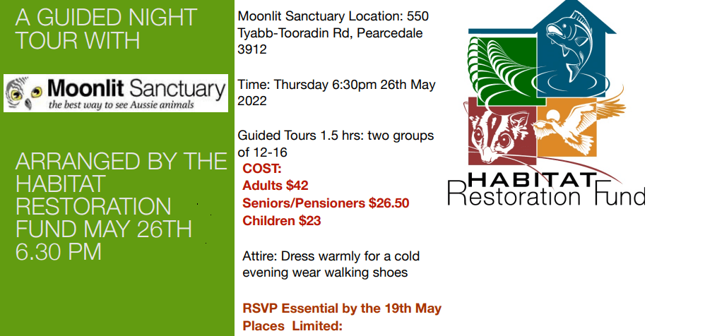 Moonlit Sanctuary Night Tour