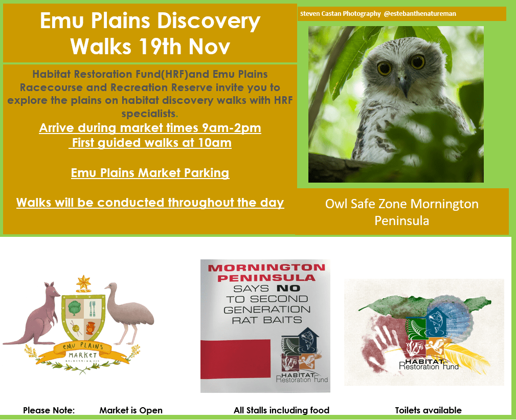 Emu Plains Market Discovery Walks 19/11/22