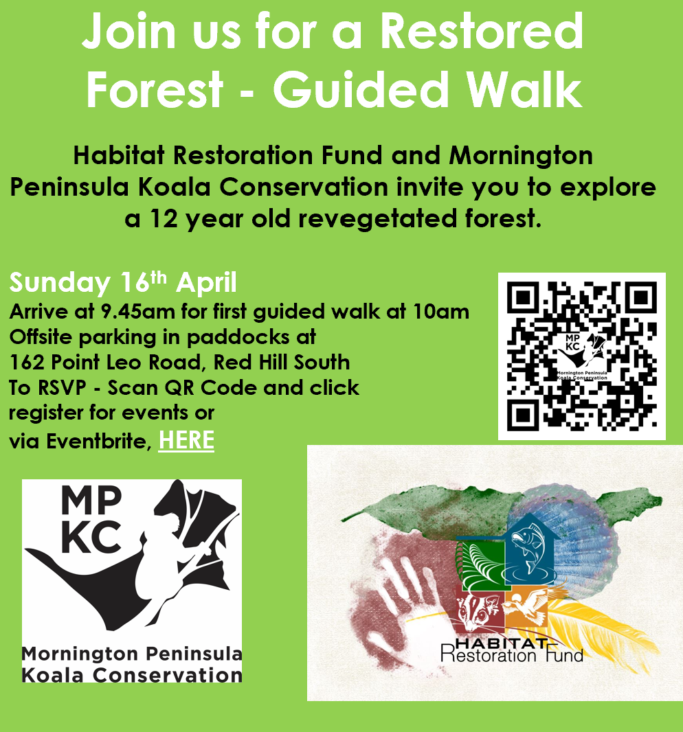 Guided Walk Through Restored Forest (Red Hill South)