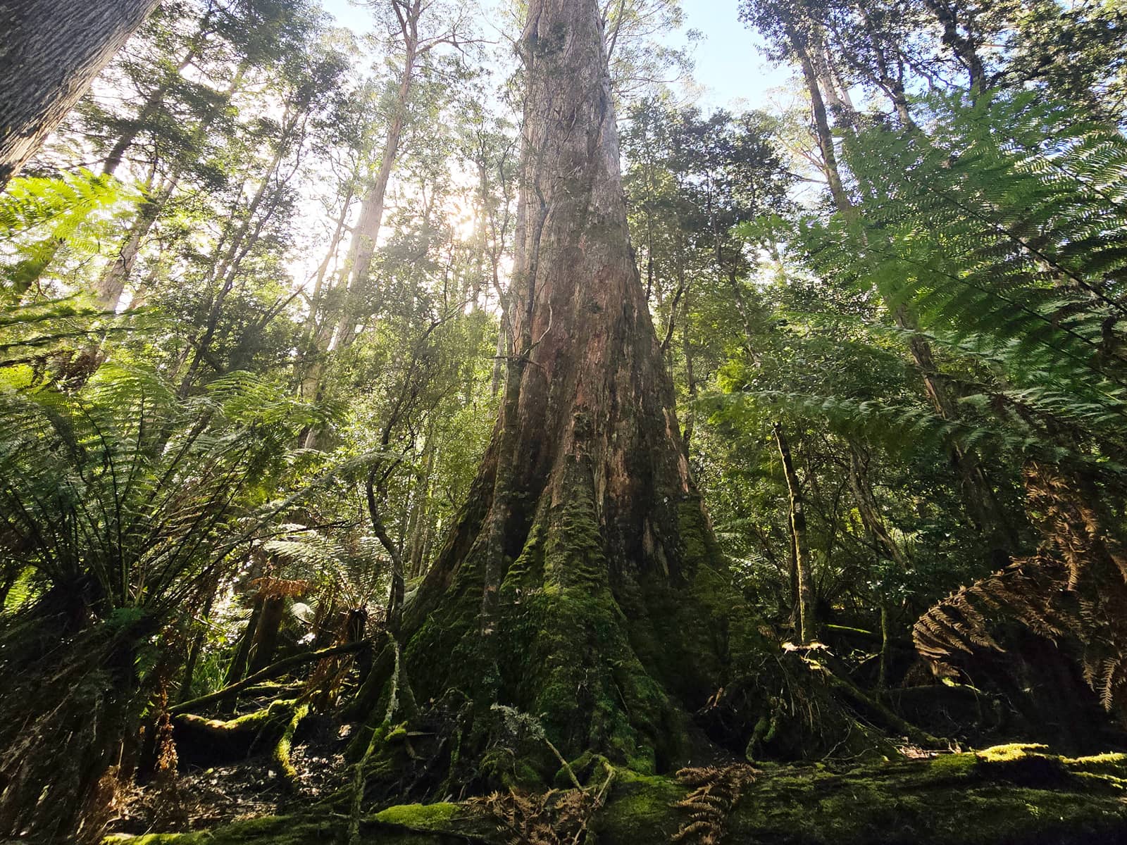 Project gallery image