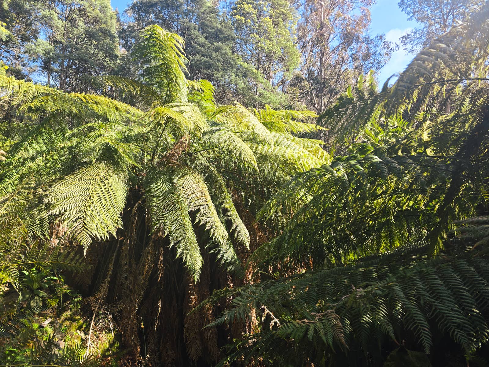 Project gallery image