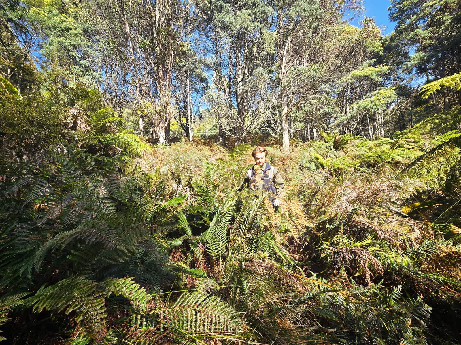 Project gallery image