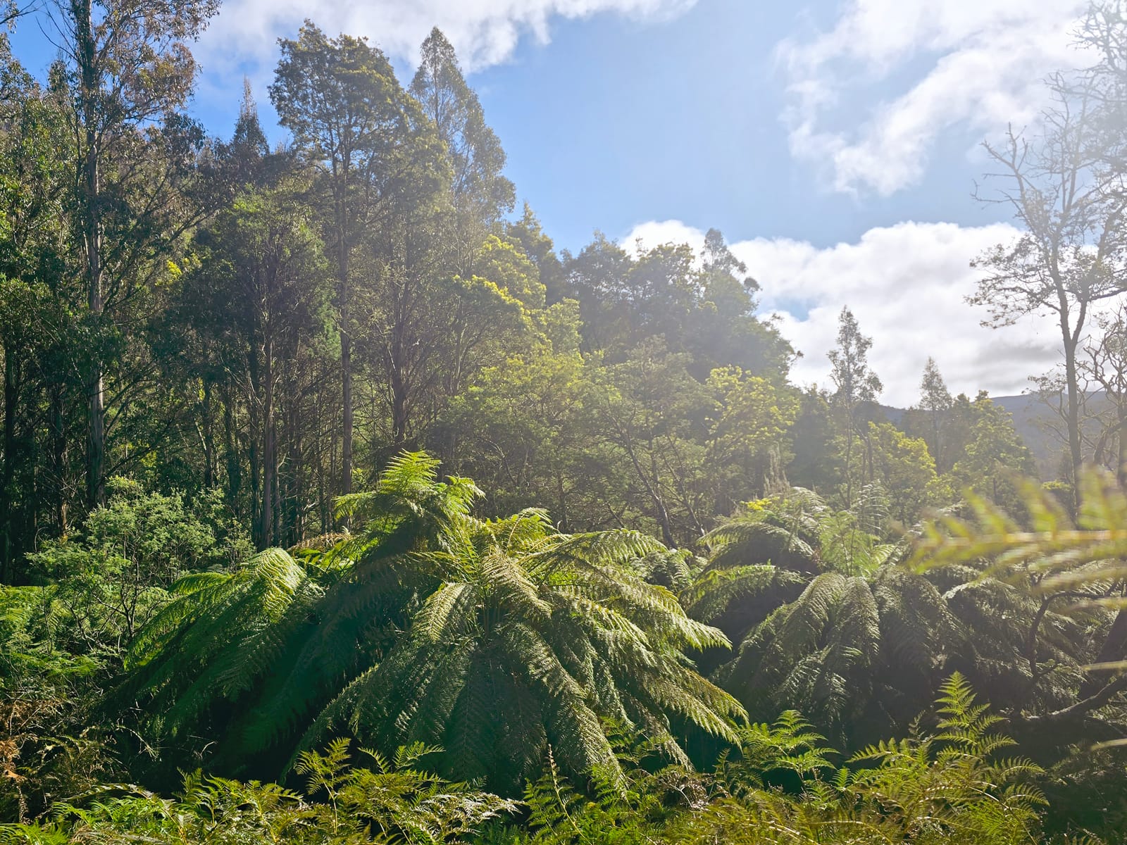 Project gallery image