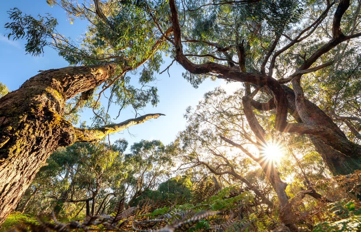 Project gallery image