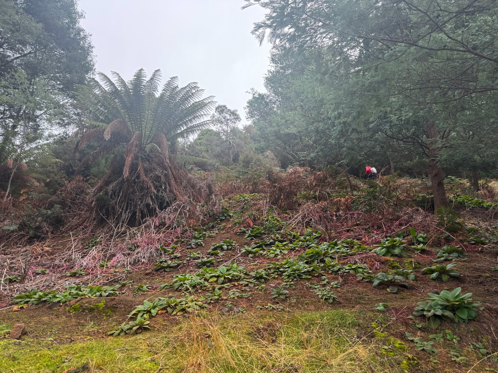 Project gallery image