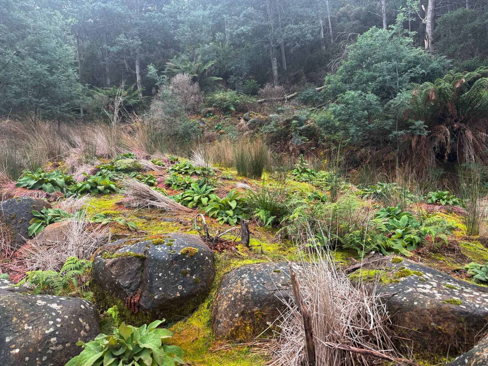 Project gallery image