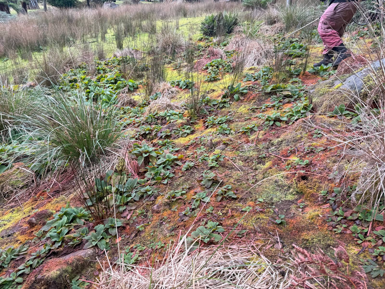 Project gallery image