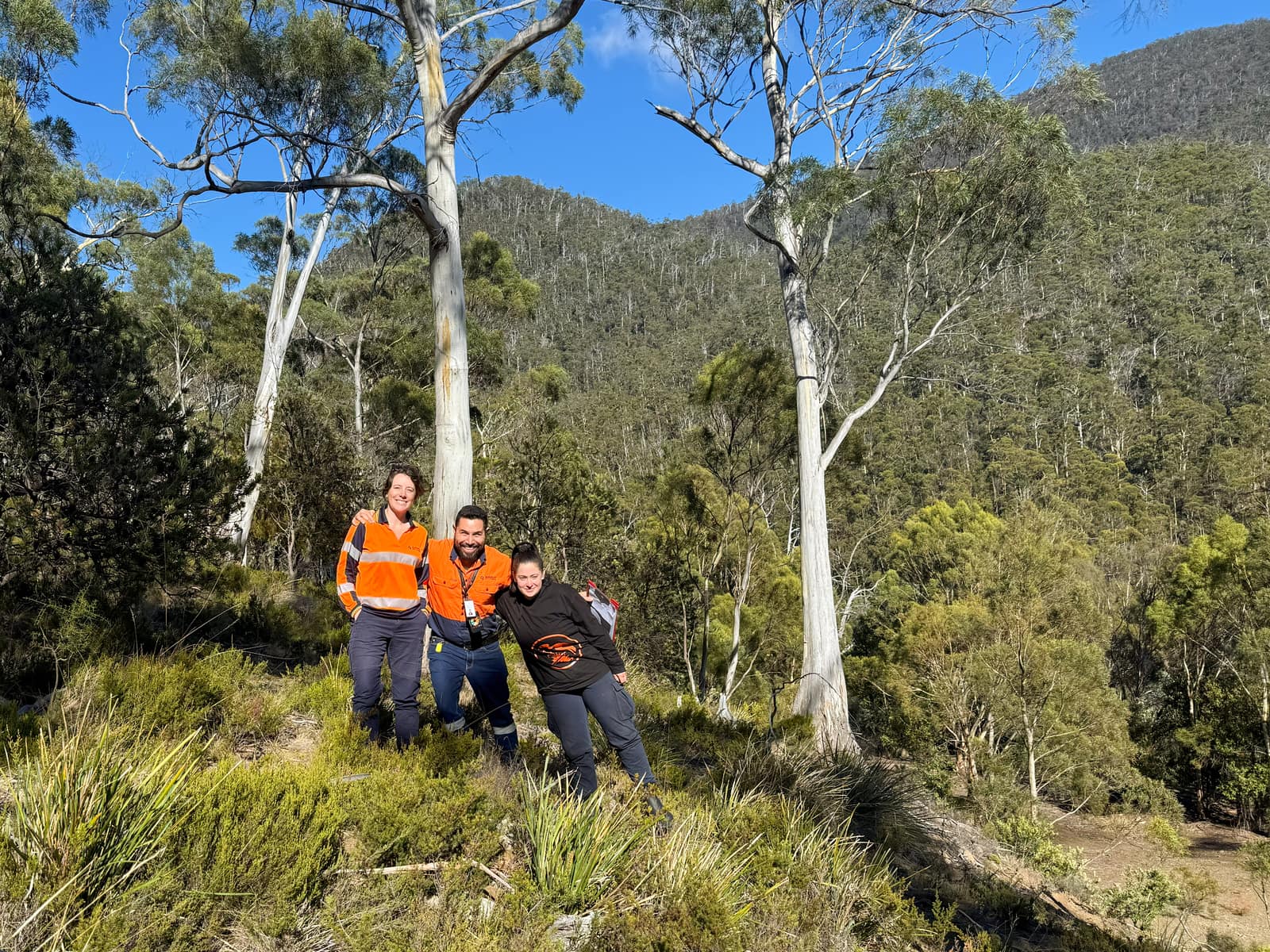 Project gallery image