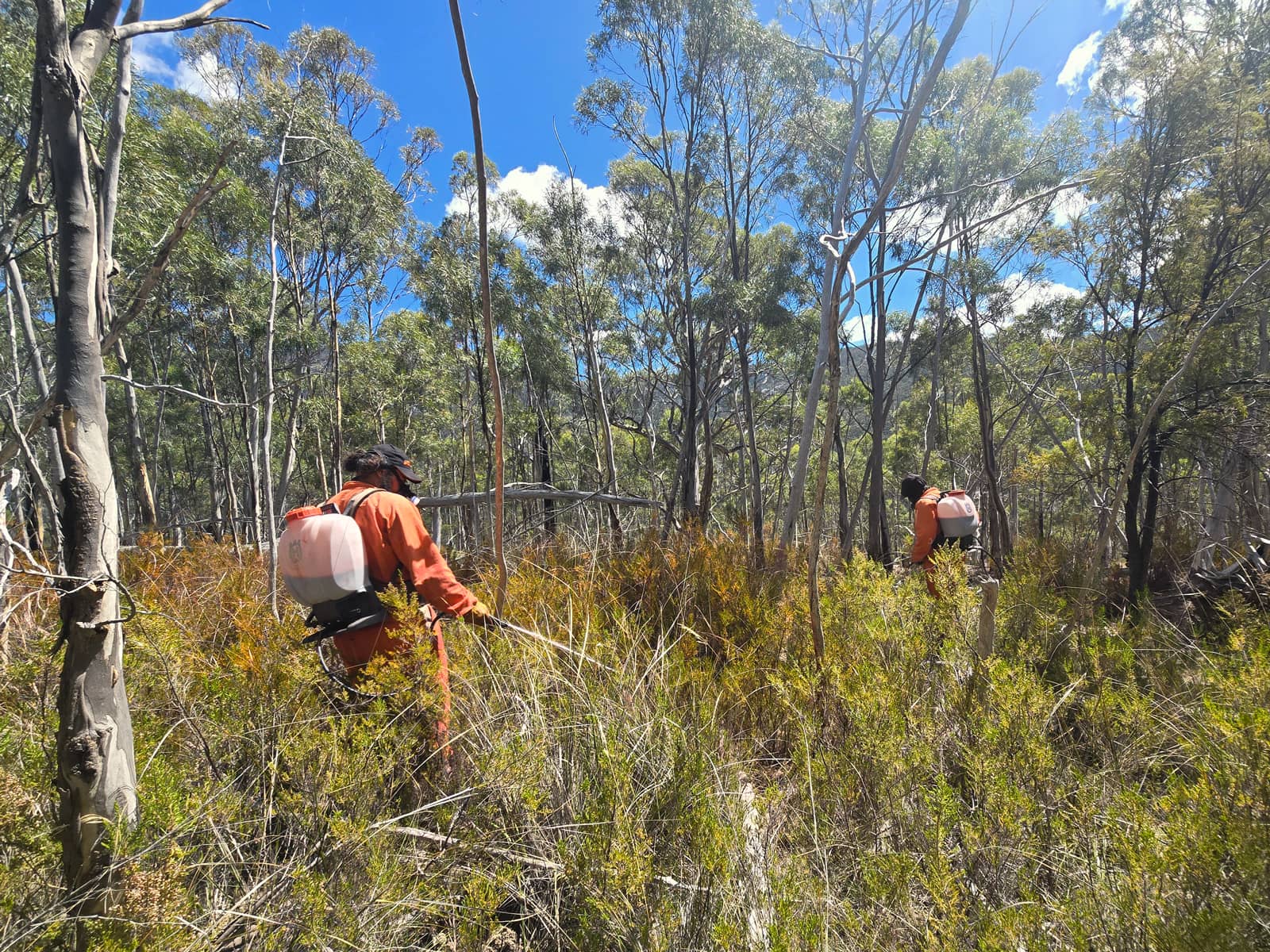 Project gallery image